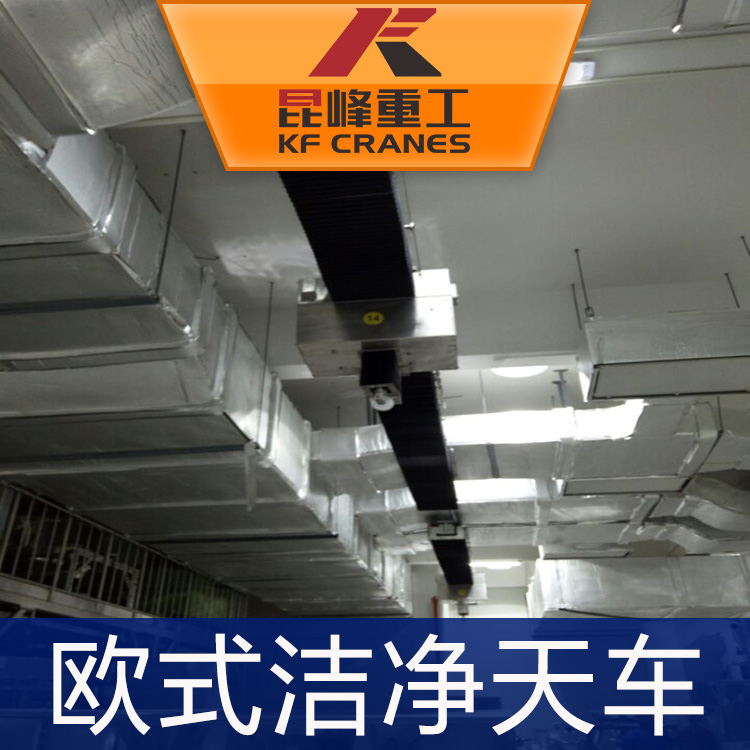 苏州欧式天车应怎样维修保养？